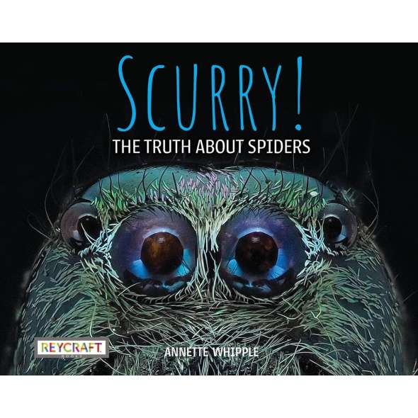 Scurry! The Truth About Spiders - Book - Paracay