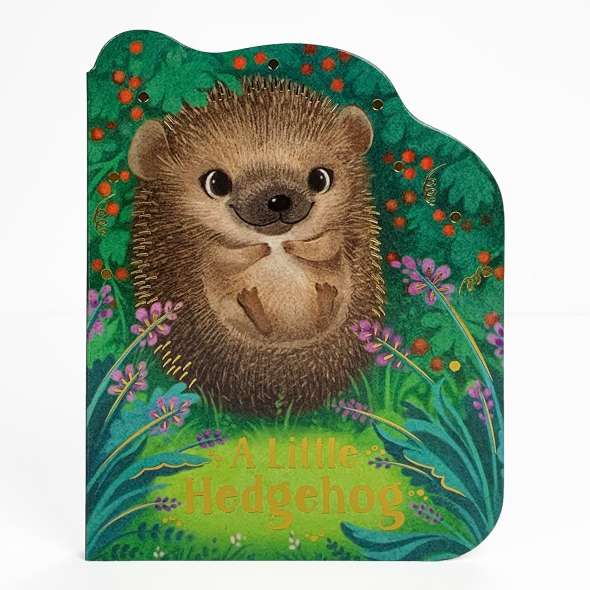 A Little Hedgehog - Book - Paracay
