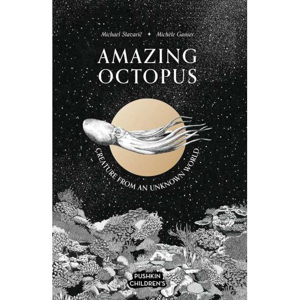Amazing Octopus - Book - Paracay