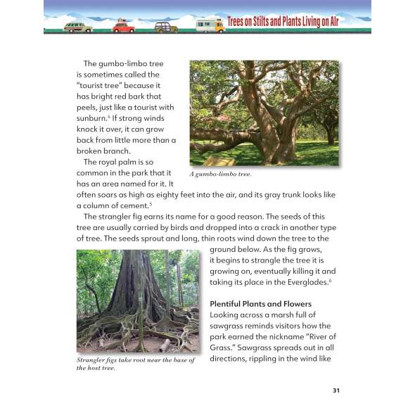 Discover Great National Parks: The Everglades - Book - Paracay