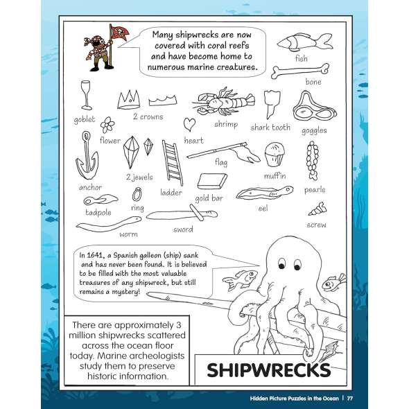 Hidden Picture Puzzles: In the Ocean - Book - Paracay
