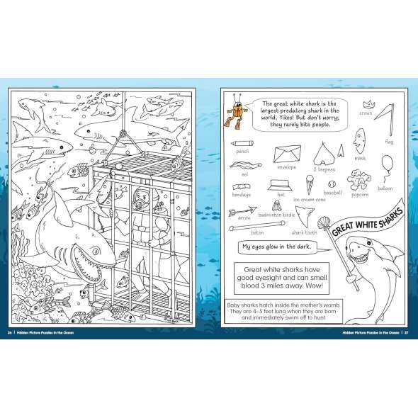 Hidden Picture Puzzles: In the Ocean - Book - Paracay