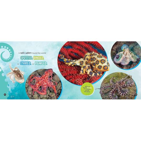 Mysterious, Marvelous Octopus - Book - Paracay