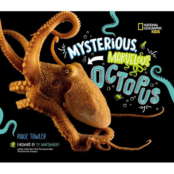 Mysterious, Marvelous Octopus - Book - Paracay