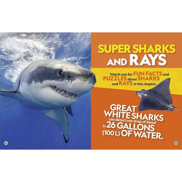 National Geographic Kids Puzzle Book of the Ocean - Book - Paracay