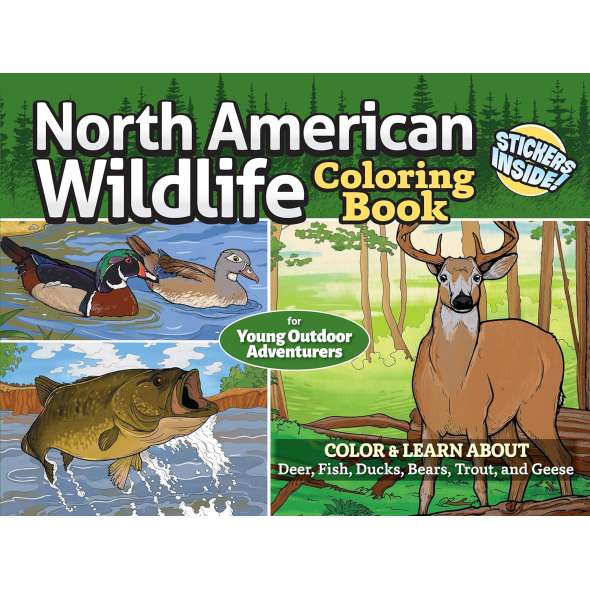 North American Wildlife Coloring Book - Book - Paracay