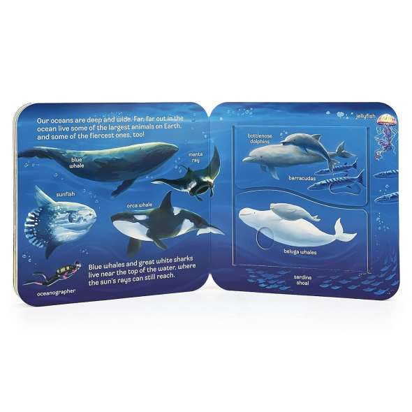 Peek-a-Flap Ocean - Book - Paracay