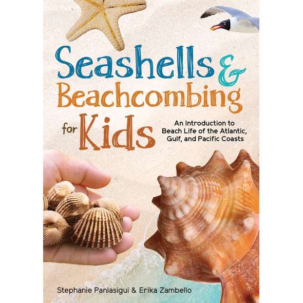 Seashells & Beachcombing for Kids - Book - Paracay