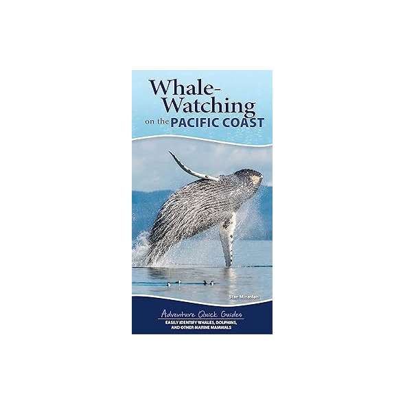 Whale-Watching - Book - Paracay