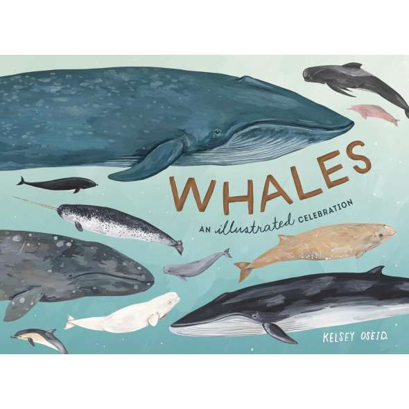 Whales: An Illustrated Celebration - Book - Paracay
