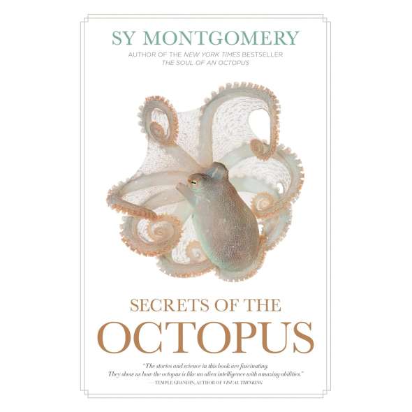 Secrets of the Octopus - Book - Paracay