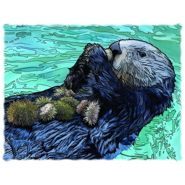 Marine Wildlife of the Pacific Northwest 2025 Calendar - Paracay