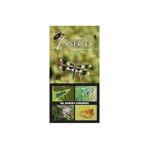 A Field Guide To Insects Of The Pacific Northwest - Book - Paracay