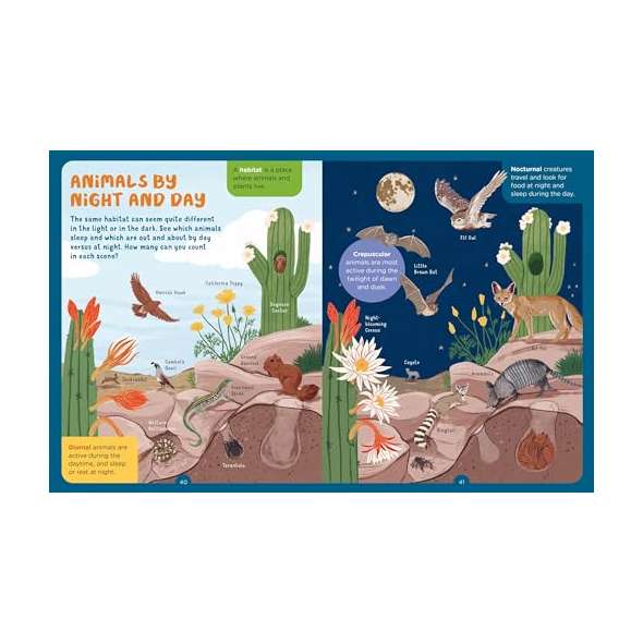 Backpack-Explorer-Night-Walk-What-Will-You-Find-Book