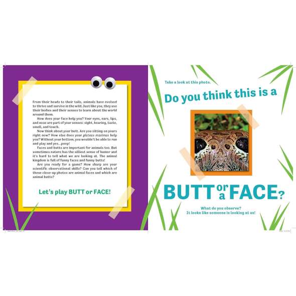 Butt Or Face? - Book - Paracay