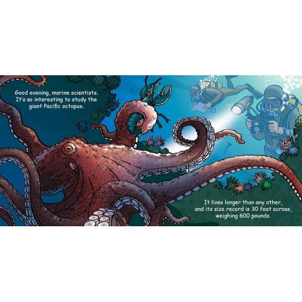 Good Night Octopus - Book - Paracay