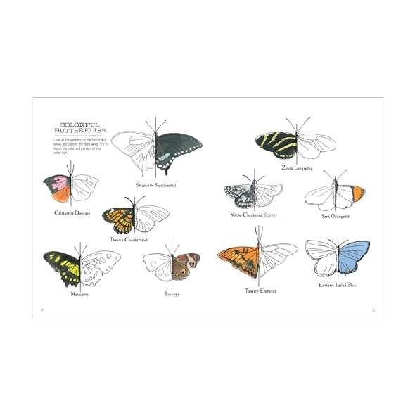 Julia-Rothman'S-Nature-Anatomy-Activity-Book-Book