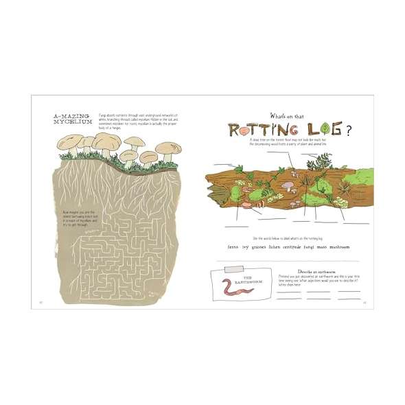 Julia-Rothman'S-Nature-Anatomy-Activity-Book-Book
