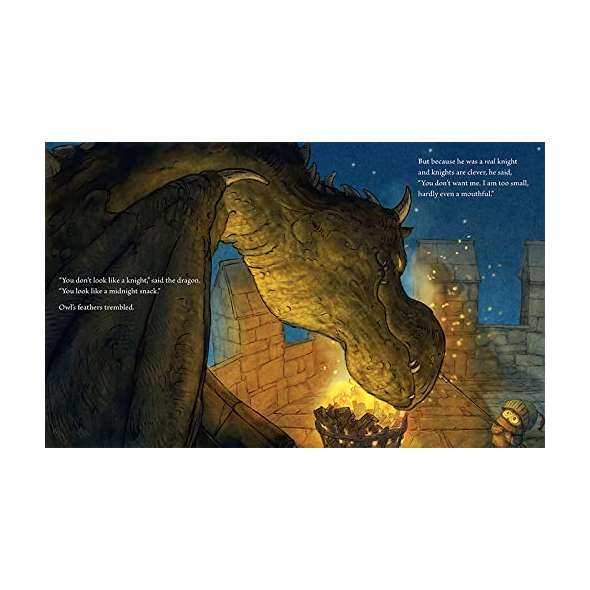 Knight Owl - Book - Paracay