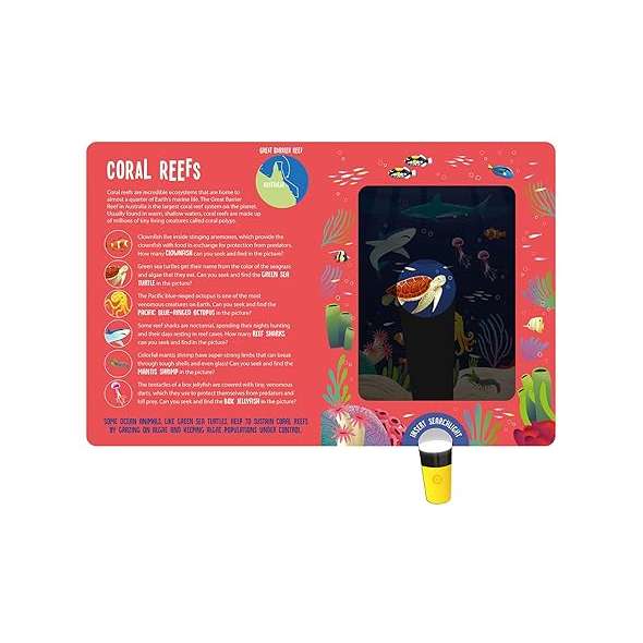 Magic Searchlight - Ocean Animals - Book - Paracay