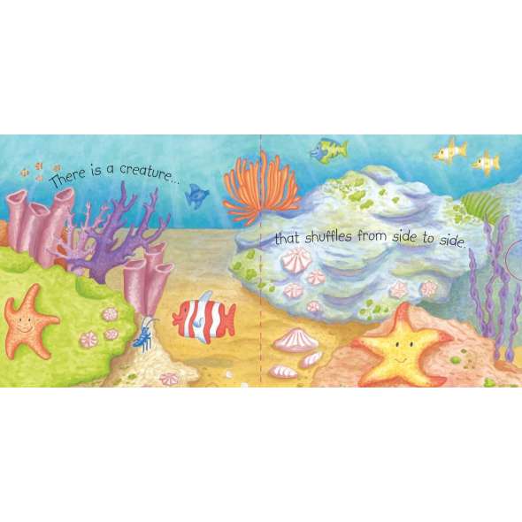 Ocean Wonders - Book - Paracay