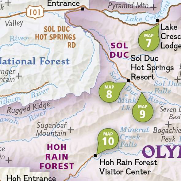 Olympic National Park Day Hikes - Book - Paracay