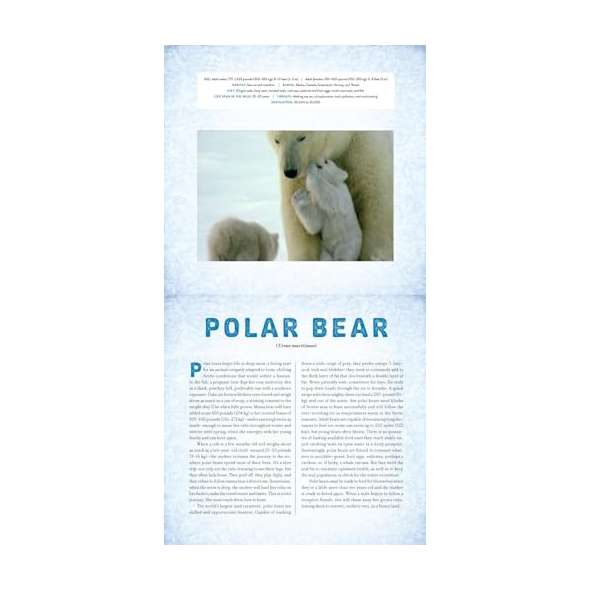 Polar-A-Photicular-Book-Book