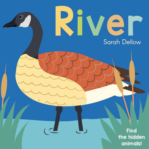 River - Now You See It! - Book - Paracay