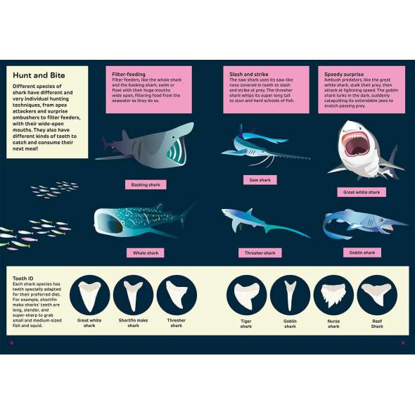 Shark-book-paracay