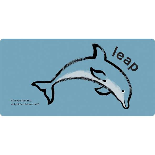 Touch and Feel Ocean - Book - Paracay