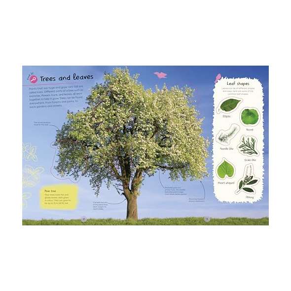 Ultimate-Sticker-Book-Trees-And-Leaves-Book