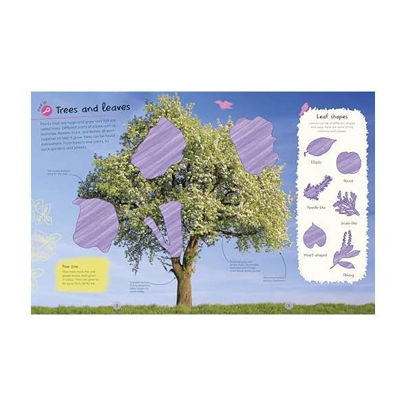 Ultimate-Sticker-Book-Trees-And-Leaves-Book