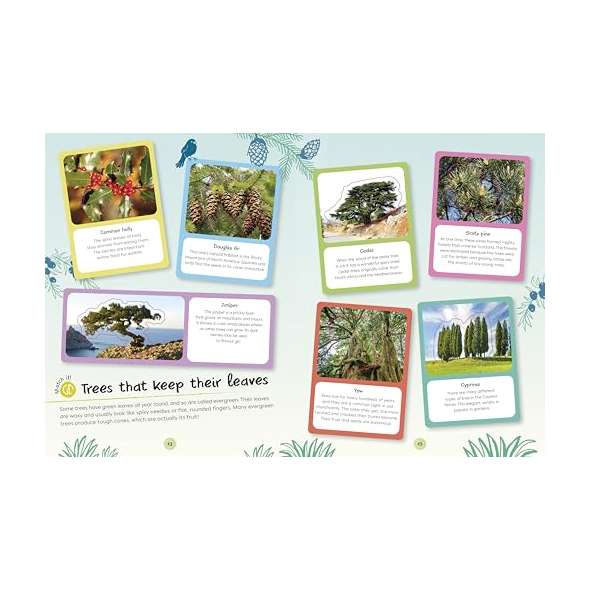 Ultimate-Sticker-Book-Trees-And-Leaves-Book