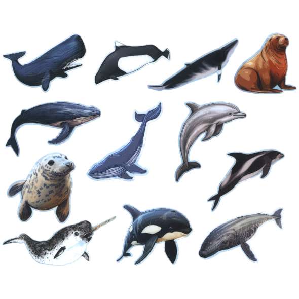Pacific Northwest Marine Animal - Sticker Book