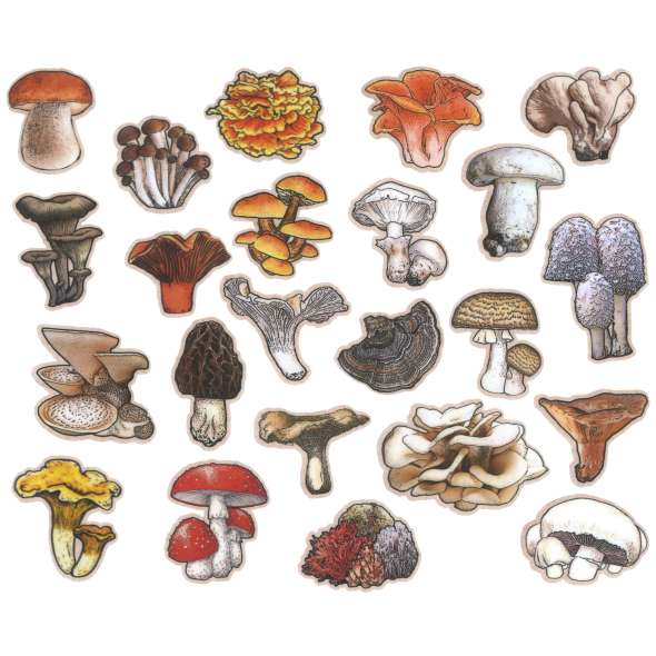 Mushrooms of the Pacific Northwest - Sticker Book - Paracay