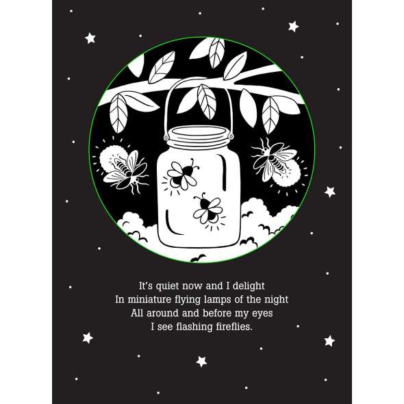 Things That Glow Bedtime Shadow Book - Paracay