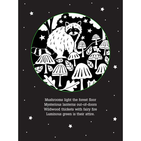 Things That Glow Bedtime Shadow Book - Paracay