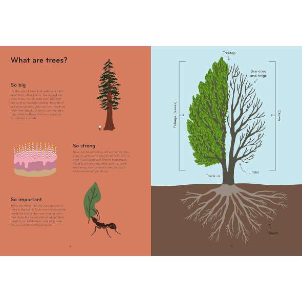 Arborama: The Marvelous World Of Trees - Book - Paracay