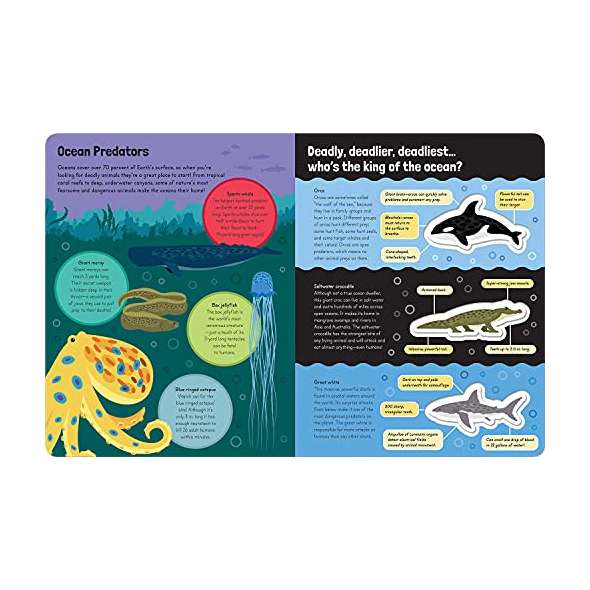 Awesome Deadly Animals - Book - Paracay