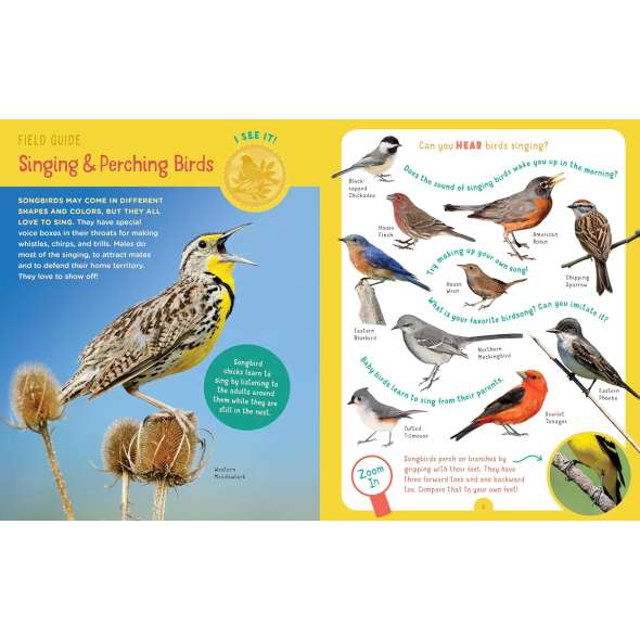 Backpack Explorer: Bird Watch - Book - Paracay