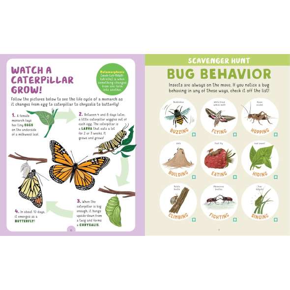 Backpack Explorer: Bug Hunt: What Will You Find? - Book - Paracay
