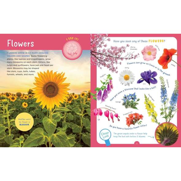 Backpack Explorer: Discovering Plants And Flowers - Book - Paracay