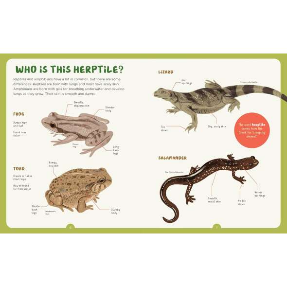 Backpack Explorer: Spotting Snakes And Frogs, And Other Reptiles And Amphibians - Book - Paracay