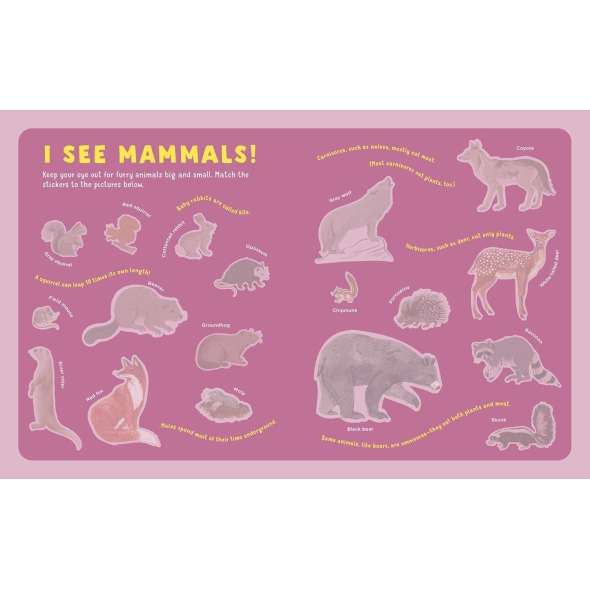Backpack Explorer Stickers: Nature Adventure - Book - Paracay