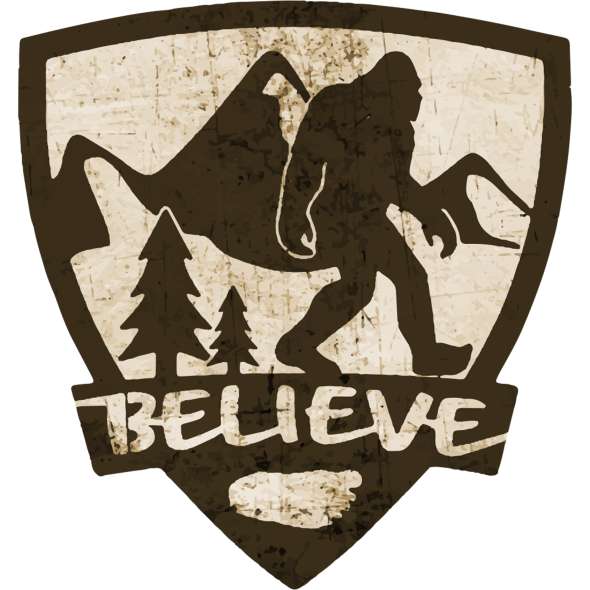 Believe Shield - Vinyl Sticker (1 STICKER) - paracay
