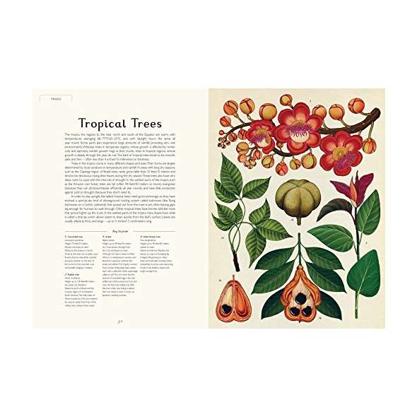 Botanicum: Welcome To The Museum - Book - Paracay