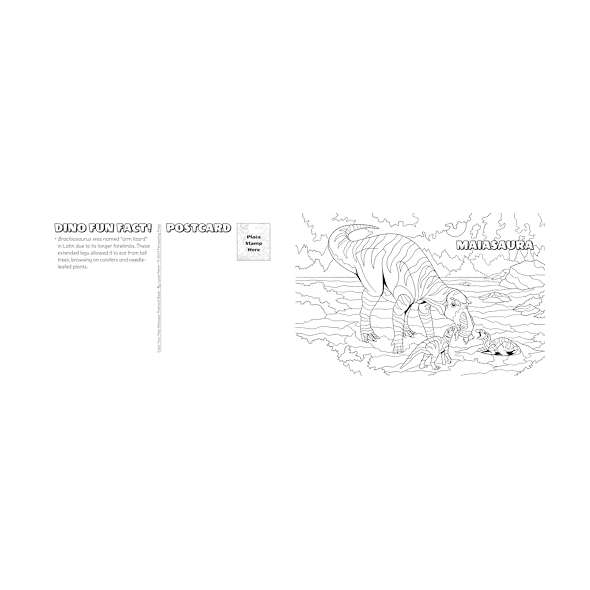 Color Your Own Dinosaur Post Card Book - Book - Paracay