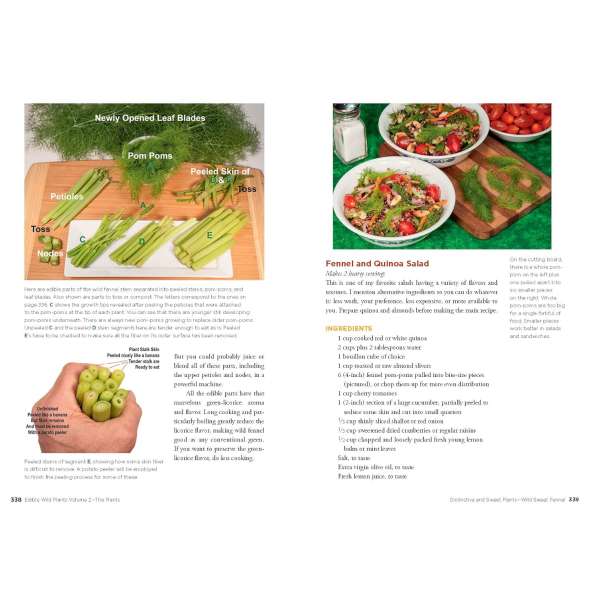 Edible Wild Plants, Volume 2 - Book - Paracay