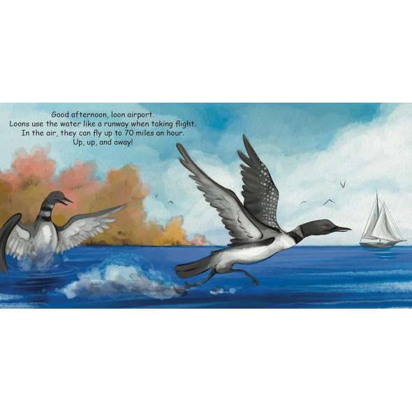 Good Night Loons - Book - Paracay