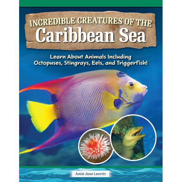 Incredible Creatures Of The Caribbean Sea - Book - Paracay